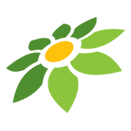 LINK 4DBET